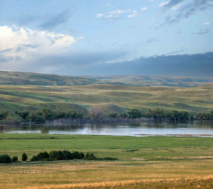 Farmland Reserve