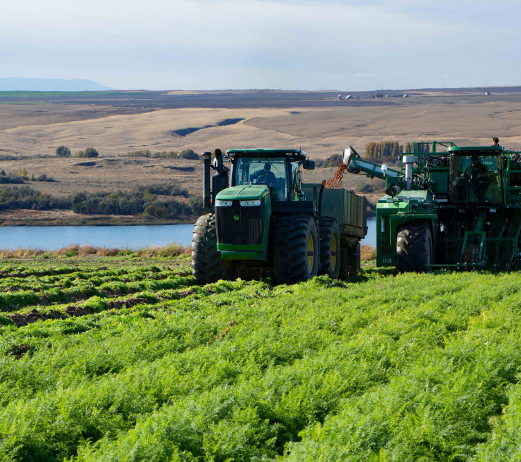 Farmland Reserve